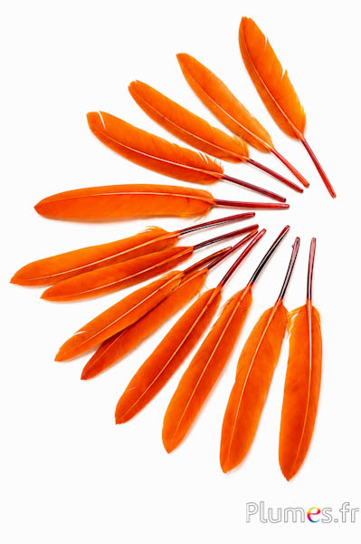 Gans - 10-15 cm - aztekengold
